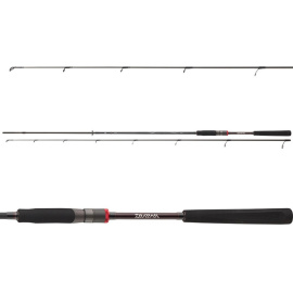 DAIWA - Prut Ballistic X Spin 2,4m, 10-40g, 2D