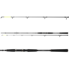 DAIWA - Prut Seahunter X, 2,60m, 60-180g, 2D