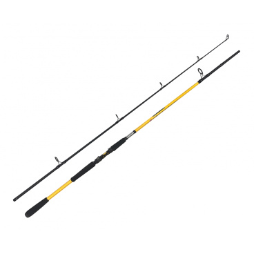 ZFISH Prut Kodiak 2,40m/100-250g