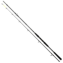 DAIWA - Prut Seahunter X, 2,60m, 60-180g, 2D