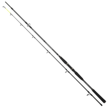 DAIWA - Prut Seahunter X, 2,60m, 60-180g, 2D