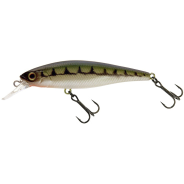 Illex - Wobler Squad Minnow SP 6,5cm 5,8g